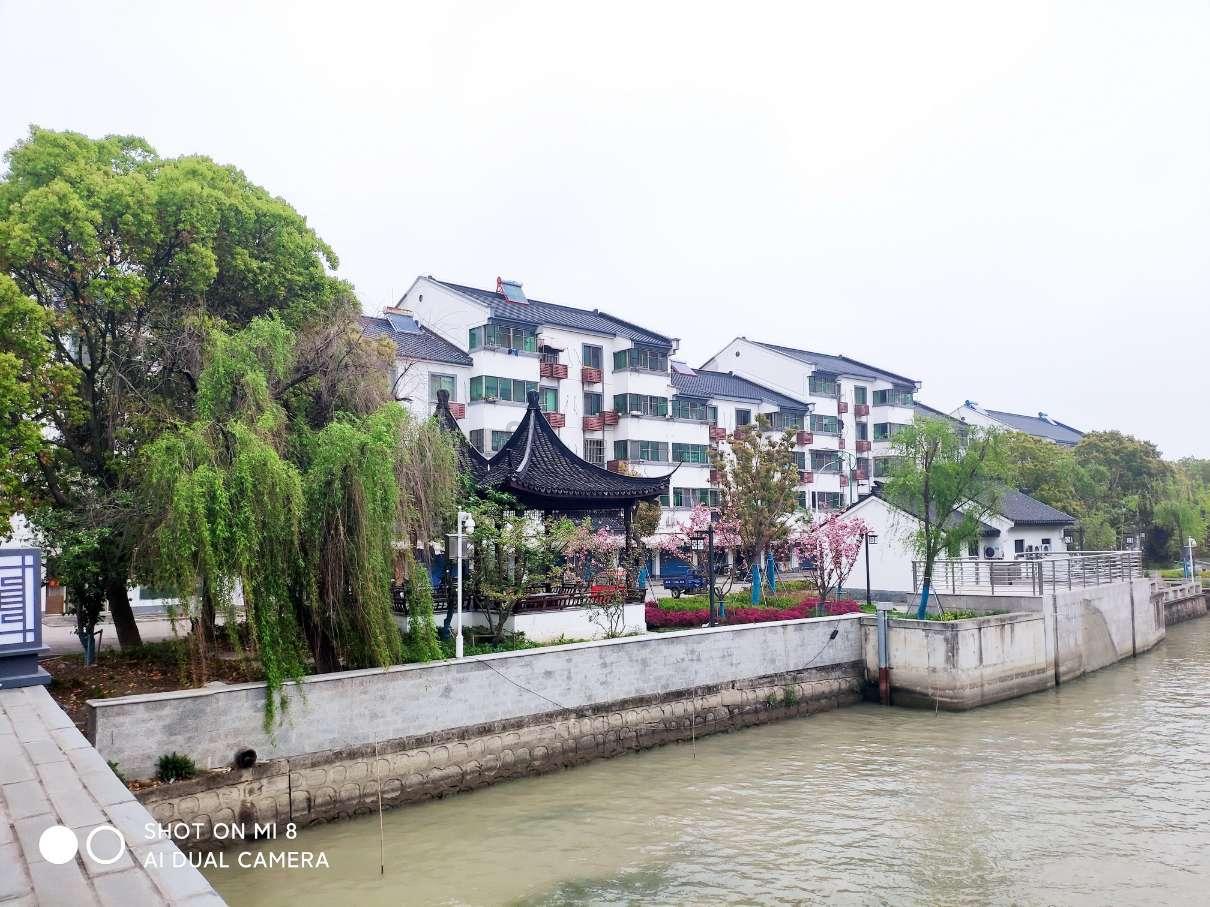 《苹果永不落下》发布预告 揭露家庭秘辛